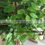 LXY072097 Artificial Ficus Tree,Green Foliage Plant Tree thumbnail-2