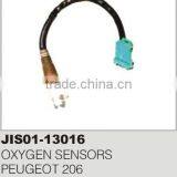 OXYGEN SENSORS thumbnail-1