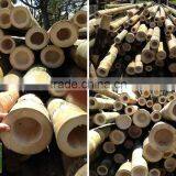 Backyard Scape in Bamboo Cane ,bamboo Poles Wholesale thumbnail-3