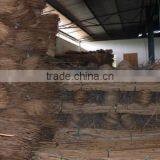 Raw Rattan Cane, Rattan, Cane, Rattan Meterial, Raw Material, Rattah Raw Mateiral, Rattan Cane thumbnail-4