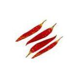 Sell Spices Products (Indonesia)