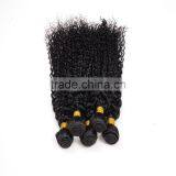 Virgin Hair Wholesale Suppliers 8-30" Mongolian Kinky Curly Hair thumbnail-6
