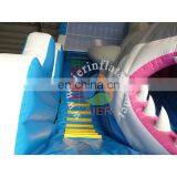 Giant Inflatable Water Slide, Shark Water Slide With Pool, Aier Inflatables thumbnail-6