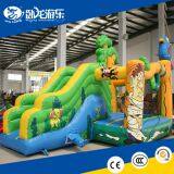 Inflatable Castle Combo Bounce House For Kids From Inflatables