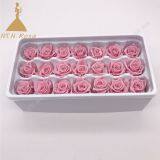 Preserved Rose for Wedding Festival Decoration thumbnail-5
