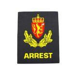 Norwegian Army Patches thumbnail-2