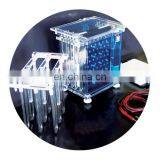 Steady Performance Double Plates Western Blot Electrophoresis Tank With Cooling Device