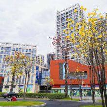 Guangzhou Youzhipin Electronics Co.,Ltd company overview - view 1 thumbnail