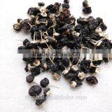 The Qinghai Wild Black Goji Berry With High Anthosides