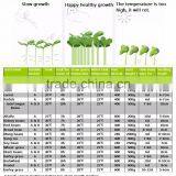 Soybean Sprout Machine thumbnail-2