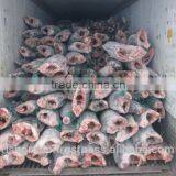 SEAFROZEN BLACK MARLIN DWT thumbnail-3