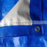 Tarpaulin Stand and Tarpaulin for Tent Come From Shandong Tarpaulin Factory