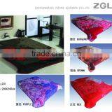 2015 NEW DESIGNS 1ply&2ply Raschel Quality Hot Compressed Embossed Raschel Korean Style Blanket NO.15019 thumbnail-5