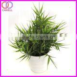 Decorative Artificial Cactus thumbnail-4