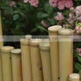 Bamboo Pole and Newest Styles of Bamboo Fence thumbnail-6