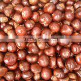 Health Food Organic Fresh Chestnut for Hot Dale--the Best Chinese Chestnuts Species thumbnail-6
