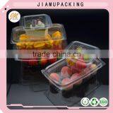 Disposable Plastic Salad Container thumbnail-6