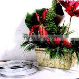 Best G Type Tempered Glass Lid Cookware Cover thumbnail-4