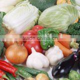 Fresh Vegetable thumbnail-1