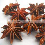 Anise Star thumbnail-2