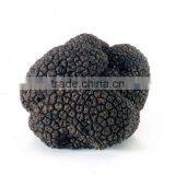 High Quality Wild Black Truffle 100% Wild Truffle for Sale thumbnail-4