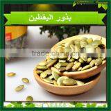 Grade A Shine Skin Pumpkin Seed Kernels Pumpkin Seed Kernels Shine Skin & GWS thumbnail-1