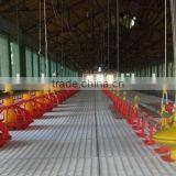 Russia Best Selling Plastic Chicken Floor for Chicken Coop House thumbnail-3