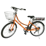 lithium battery normal electric bike electric bicycle with basket