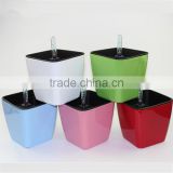 Home&Office Self Watering Plastic Flower Pot Plant Nursery Pots Wholesale