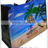 New Design Pattern Non Woven Bag thumbnail-1