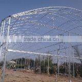 Film Greenhouses Arch thumbnail-1