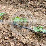 Drip Irrigation Pipe, Drip Inline Pipe, PE Irrigation Pipe thumbnail-5