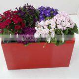 New Design Self-watering PP Rectangle Planter
