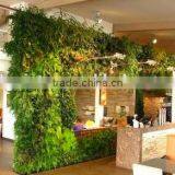 Fake Grass Wall China Factory House Use Artificial Living Wall thumbnail-2