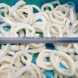 Frozen IQF Squid Ring in Bag Packing thumbnail-1