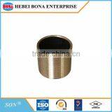 Popular Hot Dipped / Electric Galvanized Carbon Steel Pipe Nipples thumbnail-6