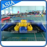 Popular cheap inflatable flying manta ray for water games