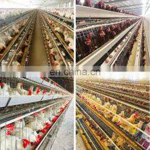 Cheap Poultry Farming Equipment Price 96/120/128/160 Birds Hot Dipped Galvanized Layer Hen Battery Chicken Cage thumbnail-4