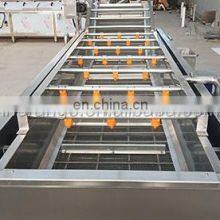 Commercial Bubble Vegetable Cleaning Machine /Wash Tank Fruit / Fruit Washer thumbnail-5