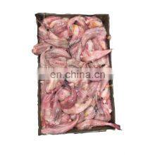 New Arriving Monkfish Tail for Human Consumption thumbnail-1