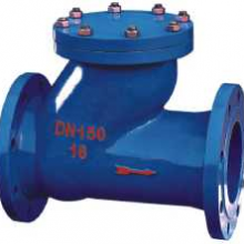 SeriesRubber Disc Check Valves thumbnail-1