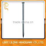 Galvanized Cement Nails For Building thumbnail-5