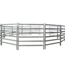 Wholesaler Portable Cattle Yard Panel Fence / Used Livestock Panels thumbnail-2