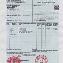 Form F for Processing Computers, Ballpoint Pens, Computers and Other Products at the Source, and FTA for Exporting to Chile thumbnail-1