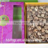 Export Dried Shittale Mushroom Prices in High Quality
