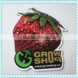 Customized Paper Fridge Magnet,High-qutity Fridge Magnet