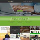 Small Business Website Design