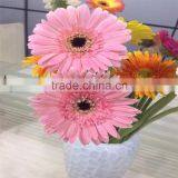 Fresh Nice Gerbera Cut Flower With Colorful Flowers thumbnail-4