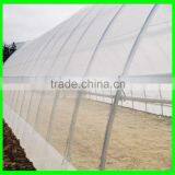 Dense Small Net Anti Insect Netting Crop Veg Protection thumbnail-2