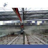 Aerial Fog System for Vegetable Greenhouse thumbnail-1